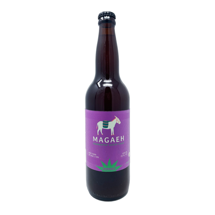 Fermented Agave Juice Artisan Pulque Healthy Probiotics Berries