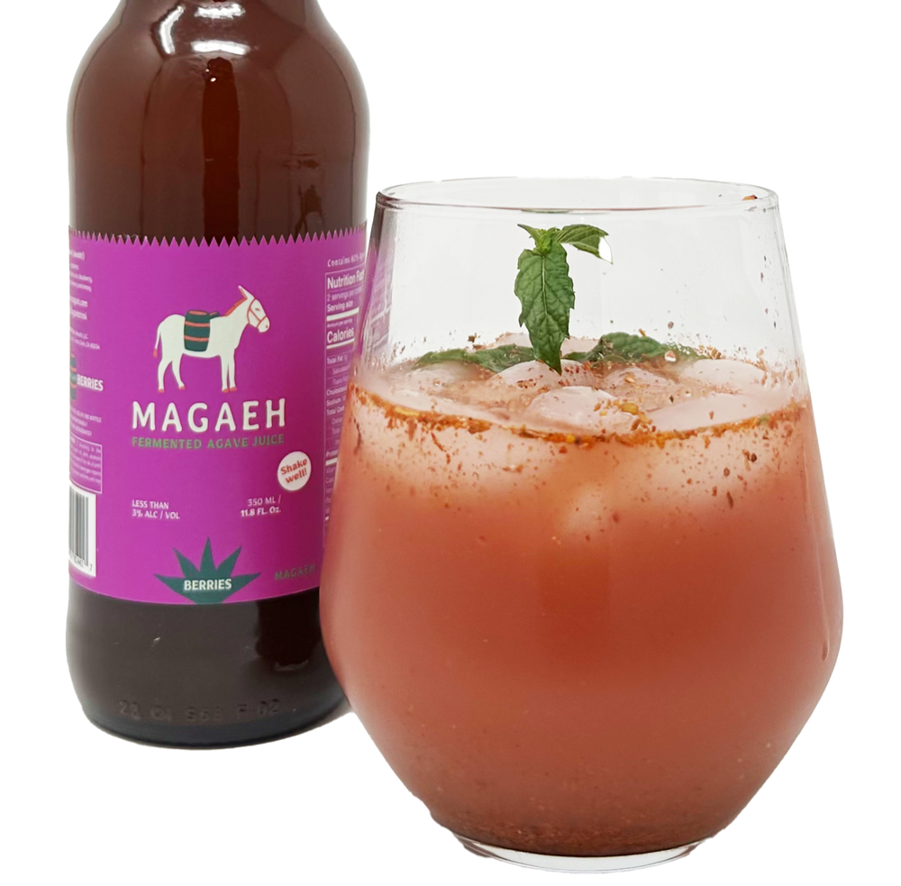 Fermented Agave Juice Healthy Probiotics Pulque Berries