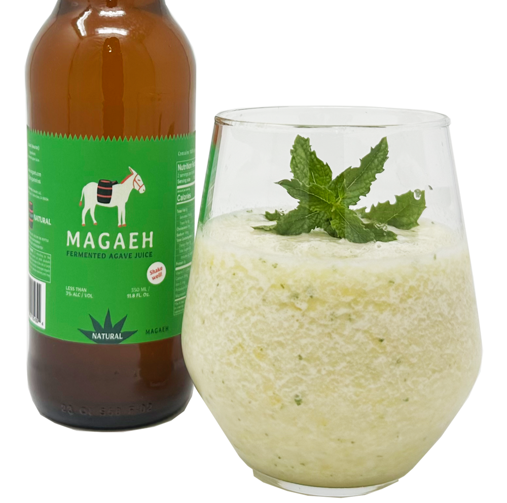 Fermented Agave Juice Healthy Probiotics Pulque Natural