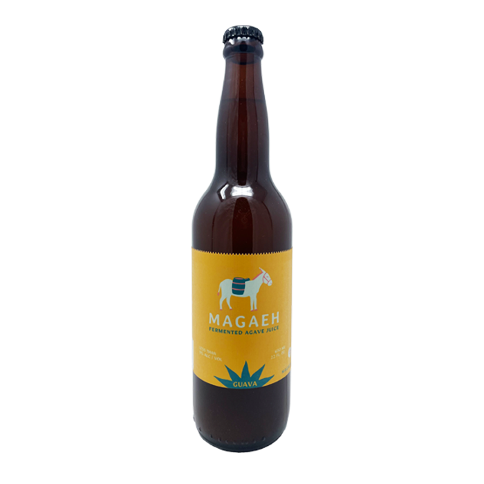 Fermented Agave Juice Artisan Pulque Healthy Probiotics Guava