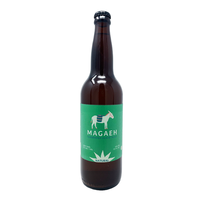 Fermented Agave Juice Artisan Pulque Healthy Probiotics