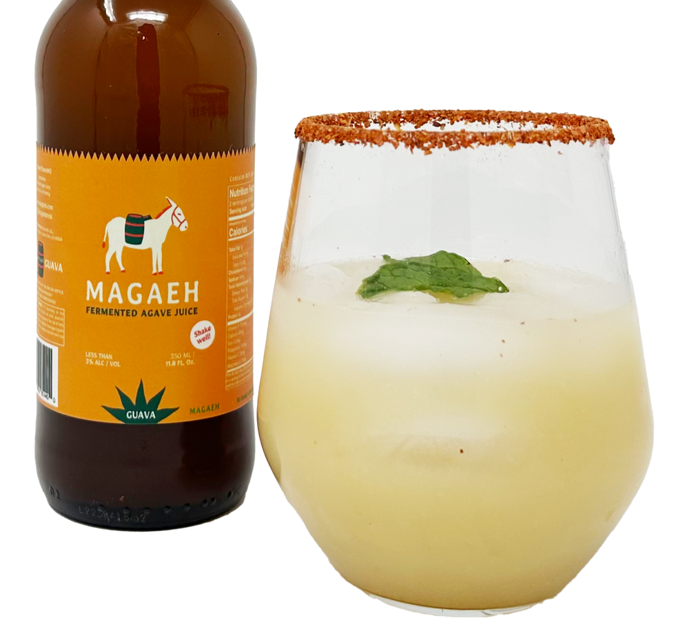 Fermented Agave Juice Healthy Probiotics Pulque Guava